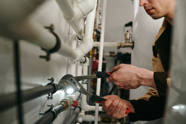 Best Local Plumber Services  in Mono Vista, CA