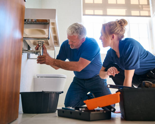 Best Commercial Plumbing Services  in Mono Vista, CA